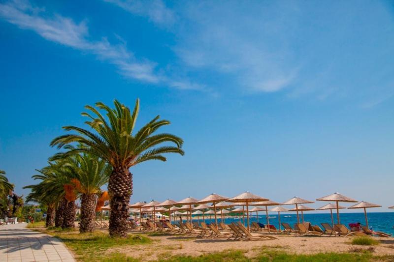 Olympion Beach Hotel Gerakini Exterior foto